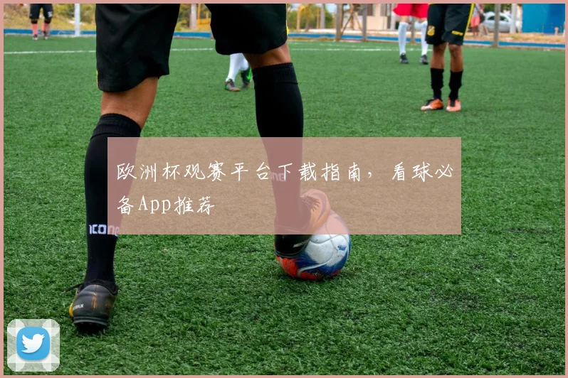 欧洲杯观赛平台下载指南,看球必备App推荐