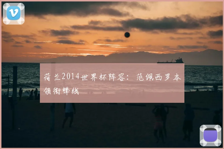 荷兰2014世界杯阵容:范佩西罗本领衔锋线